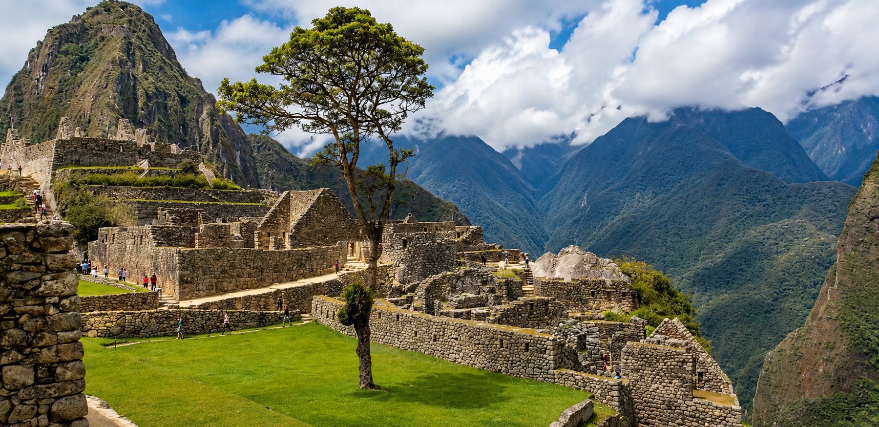 En el corazón de Machu Picchu, un árbol solitario crece entre los recintos de piedra. A un lado se levanta el Huayna Picchu; al otro, la montaña cae hacia la selva.
